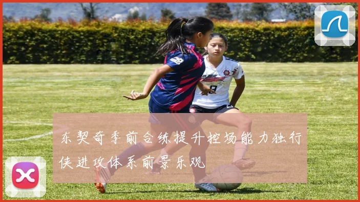 东契奇季前合练提升控场能力独行侠进攻体系前景乐观